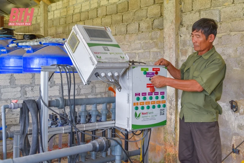 Dưa vàng Hồng Đức khai mở tiềm năng phát triển nông nghiệp Quảng Văn