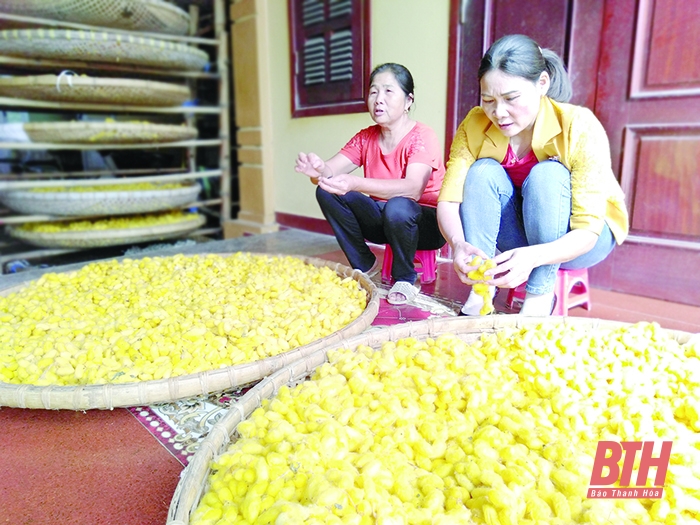 Nâng cao sức cạnh tranh, phát triển bền vững các làng nghề