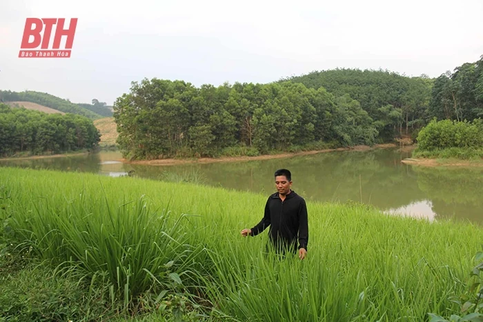 Bỏ phố về quê làm nông dân - cuộc chơi không dành cho những kẻ mộng mơ