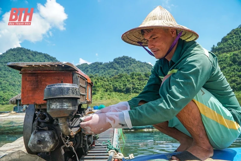 Nuôi cá ở lòng hồ thủy lợi lớn nhất xứ Thanh