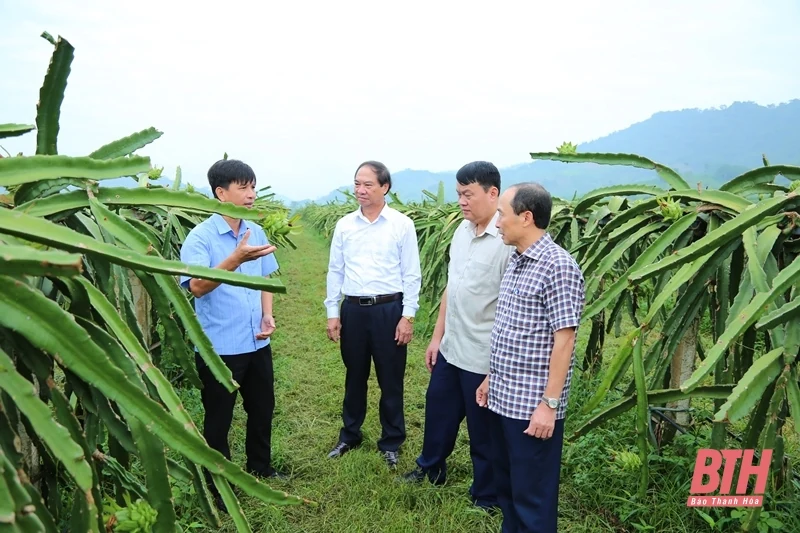 Giám sát việc thực hiện các nghị quyết, kết luận của HĐND tỉnh sau giám sát chuyên đề tại huyện Ngọc Lặc và Triệu Sơn