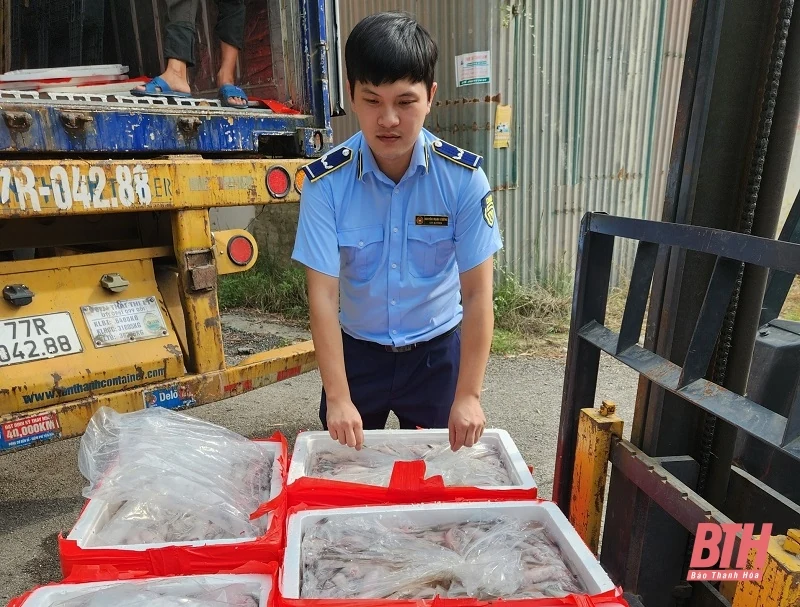 Bắt giữ hơn 4.500 kg cá khoai không rõ nguồn gốc xuất xứ