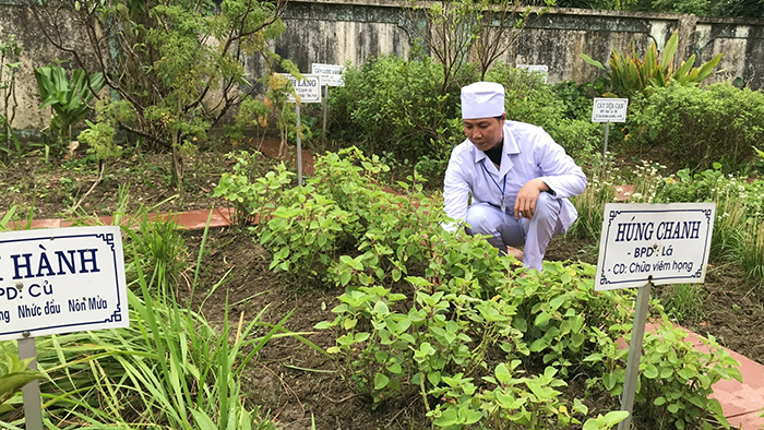 Hội Đông y tỉnh Thanh Hóa phát triển y dược cổ truyền trong khám, chữa bệnh