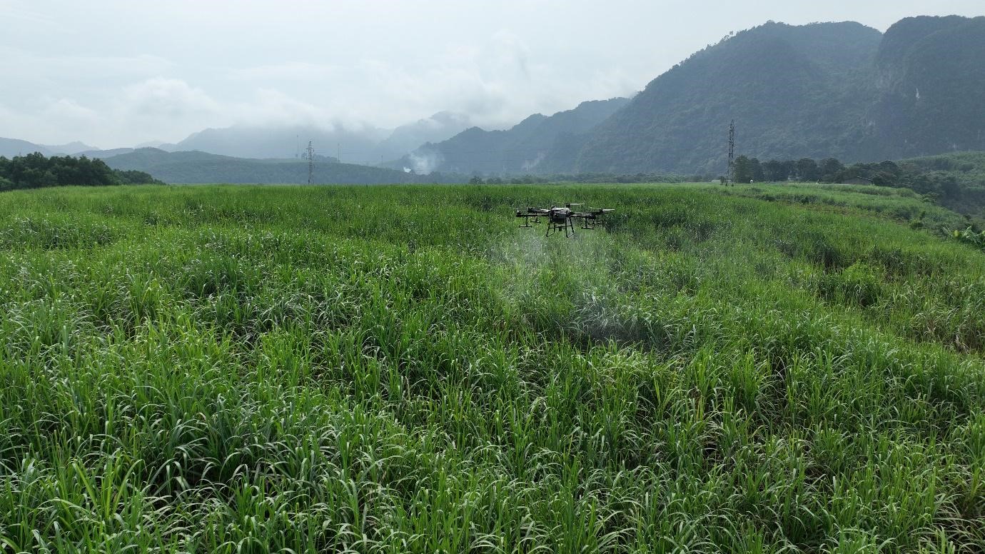AgriDrone khai trương Trung tâm D ịch vụ máy bay nông nghiệp tại Bắc Trung Bộ