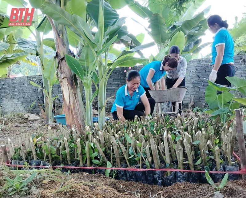 Lan tỏa “Ngày thứ bảy, chủ nhật xanh”