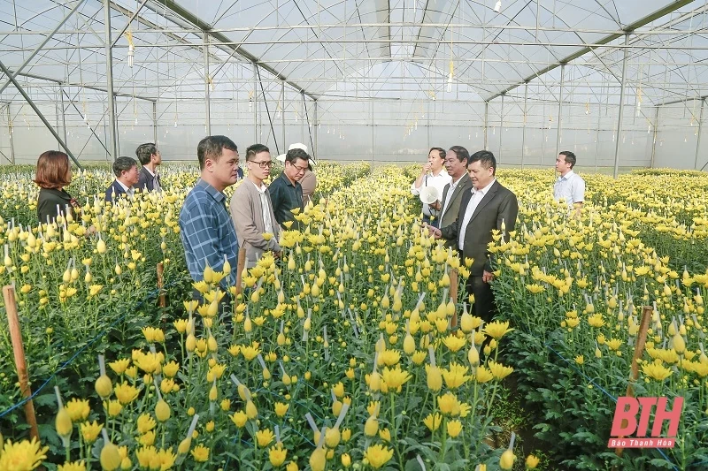 Đánh giá kết quả phát triển nông nghiệp ứng dụng công nghệ cao