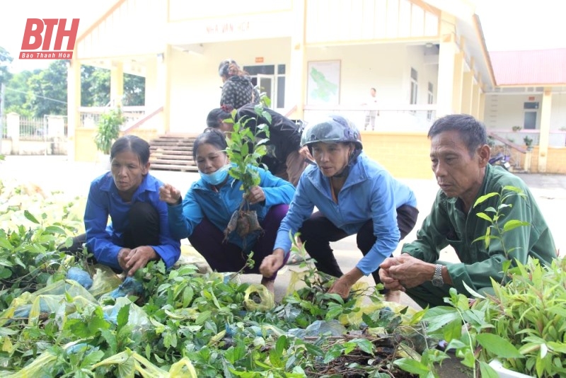 80 hộ nghèo, cận nghèo ở huyện Bá Thước được hỗ trợ vật tư sản xuất cây dược liệu hữu cơ