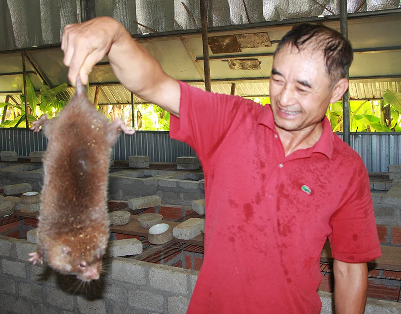 Thu nhập cao từ nuôi con “đặc sản”