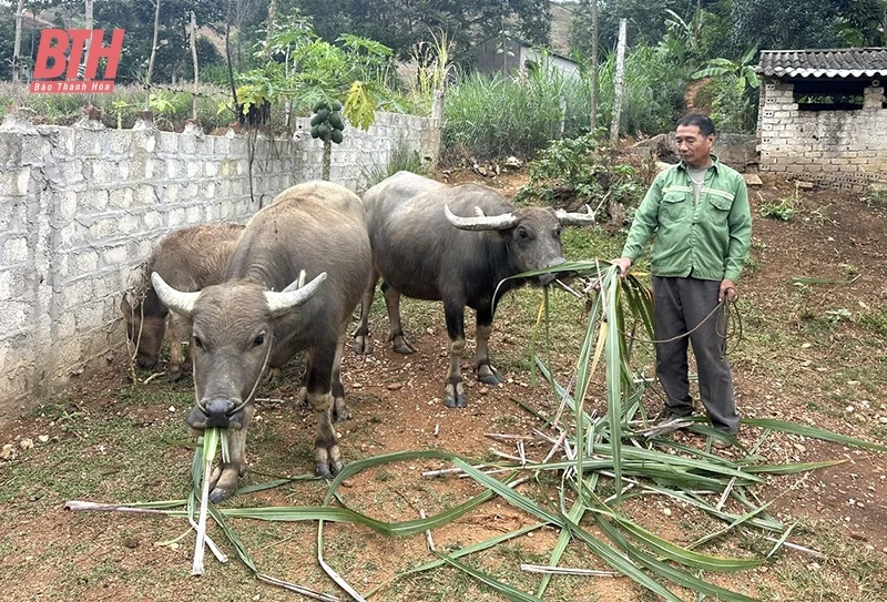 Thạch Thành nỗ lực thực hiện công tác giảm nghèo bền vững