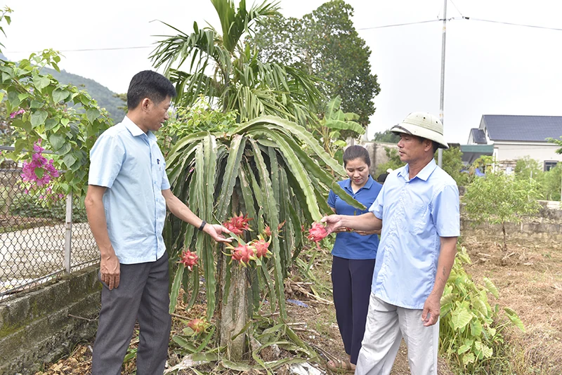 Như Thanh nâng cao hiệu quả công tác giảm nghèo bền vững