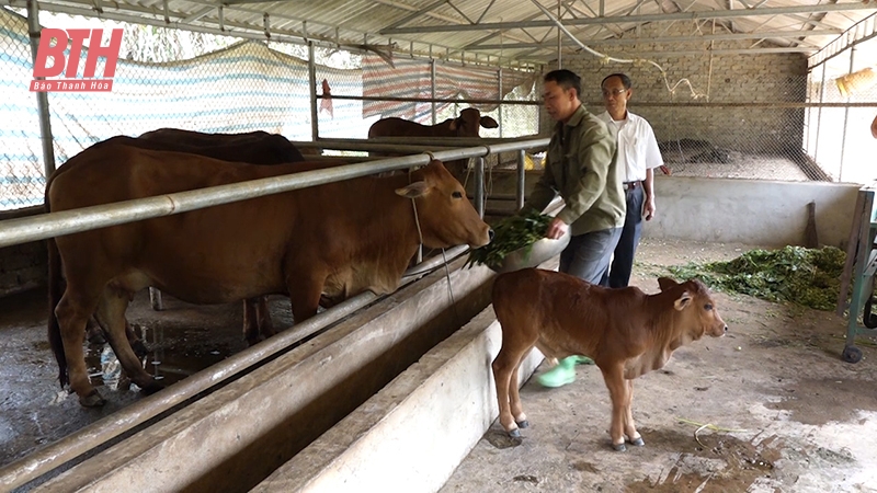 Như Xuân phát huy tiềm năng, thế mạnh, góp phần giảm nghèo bền vững