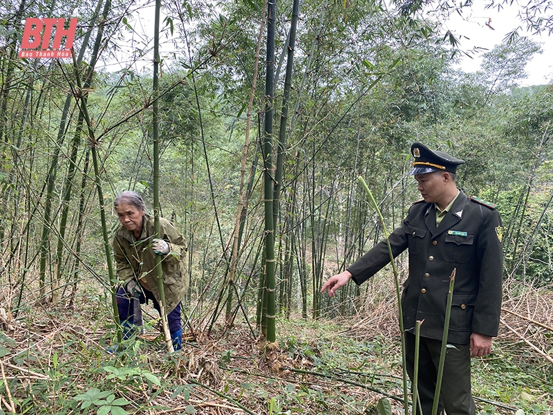 Lang Chánh tăng cường phòng, chống cháy rừng mùa hanh khô