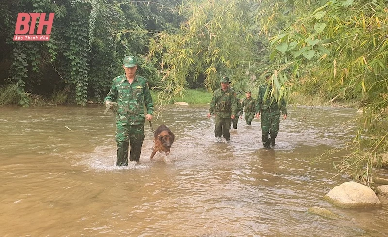 Chủ động tuần tra, kiểm soát đường biên, cột mốc dịp cuối năm