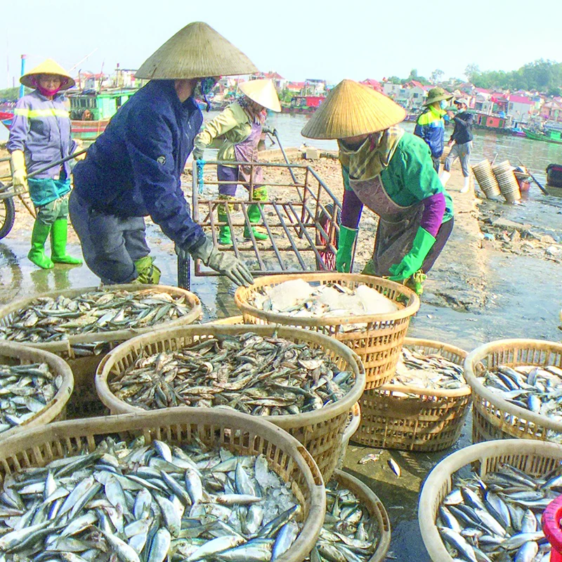 Thanh Hóa chú trọng phát triển kinh tế biển
