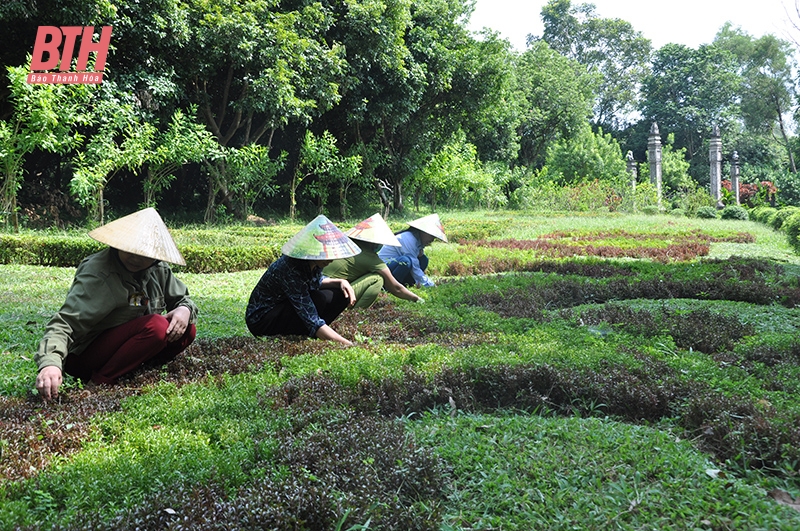 Níu chân du khách bằng cảnh quan xanh - sạch – đẹp