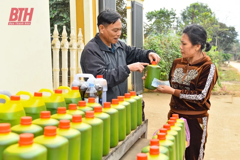“Thủ phủ” mật mía lớn nhất xứ Thanh vào vụ tết