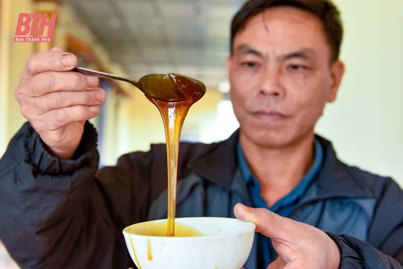 “Thủ phủ” mật mía lớn nhất xứ Thanh vào vụ tết