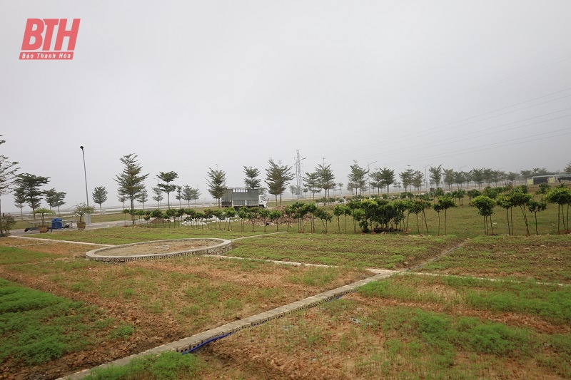 Huyện Triệu Sơn sẽ tổ chức Hội chợ hoa đào