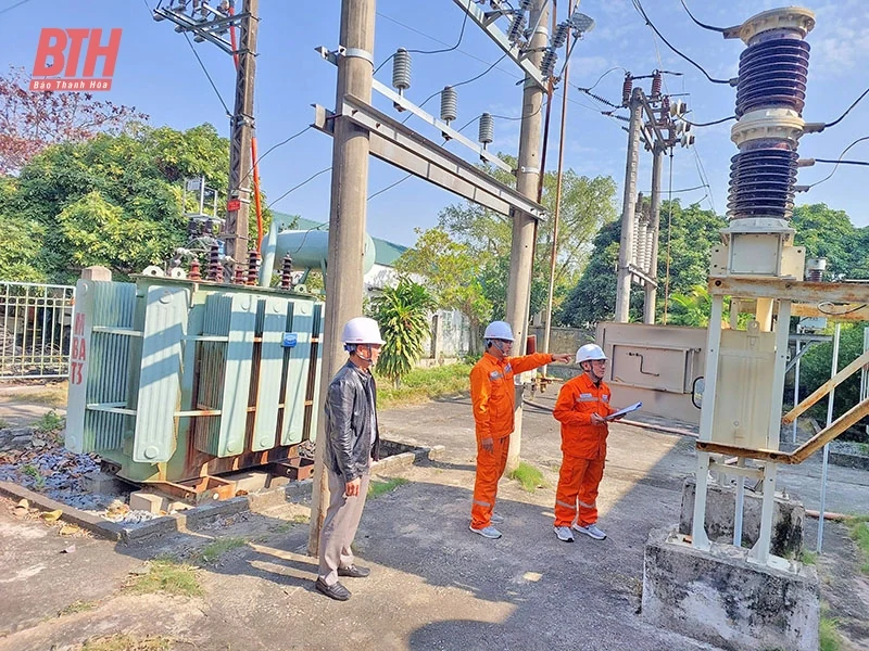 Điện lực Hậu Lộc nâng cấp, cải tạo hệ thống điện phục vụ phát triển kinh tế - xã hội
