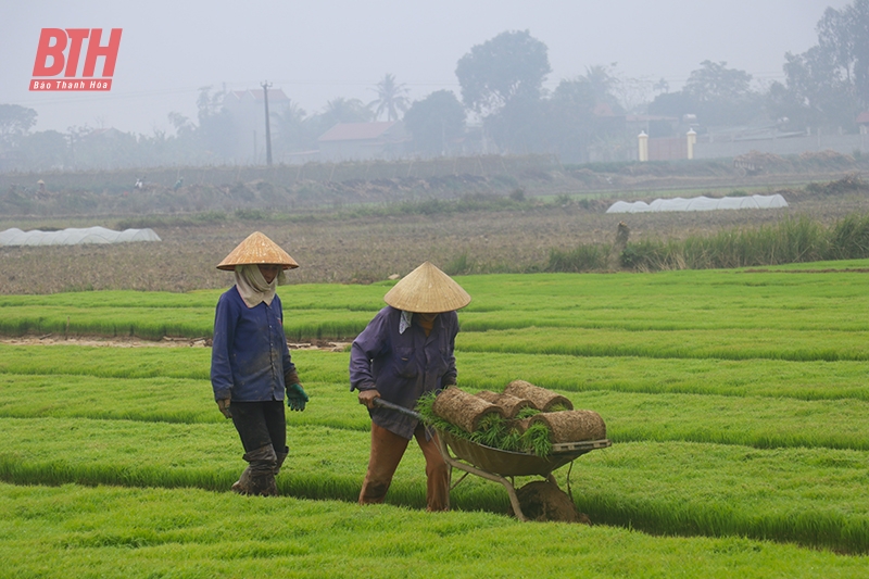 Yên Định chuẩn bị các điều kiện sản xuất vụ xuân