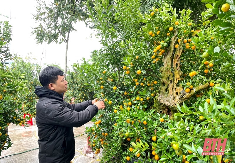 Sắc xuân xuống phố...