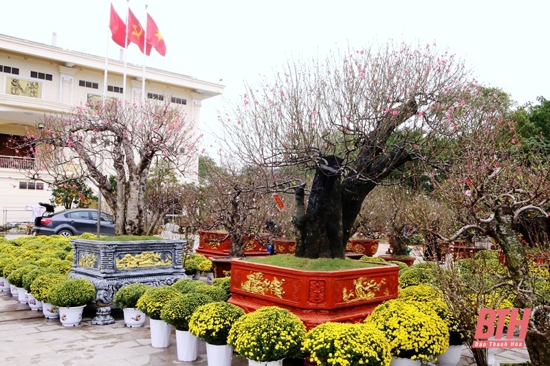 Sắc xuân xuống phố...