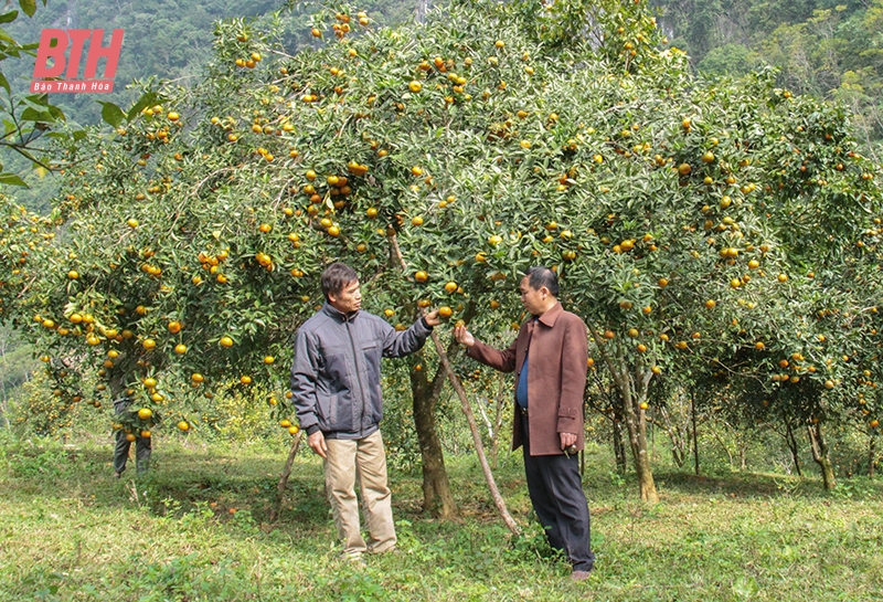 Thành Sơn phát triển các mô hình kinh tế