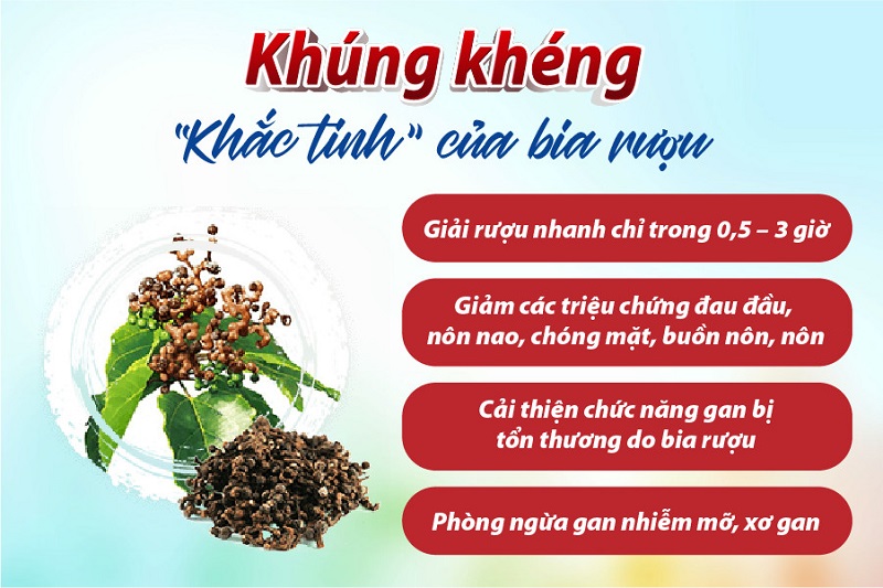 Liên hoan, tiệc tùng cuối năm - Đừng quên bảo vệ gan!