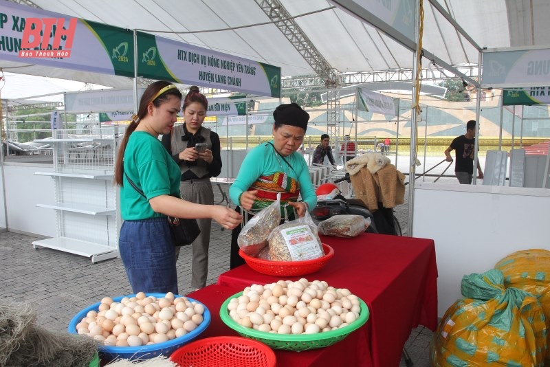 Sẵn sàng cho không gian quảng bá, giới thiệu sản phẩm nông nghiệp, sản phẩm OCOP