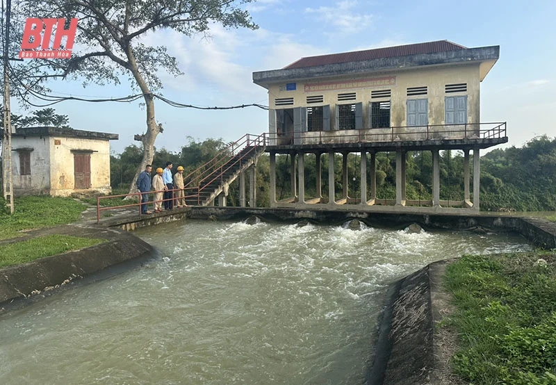 Thạch Thành: Chủ động bảo đảm nước tưới cho cây trồng vụ chiêm xuân