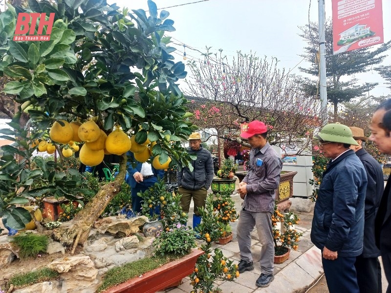 Về Triệu Sơn đi Hội chợ hoa đào