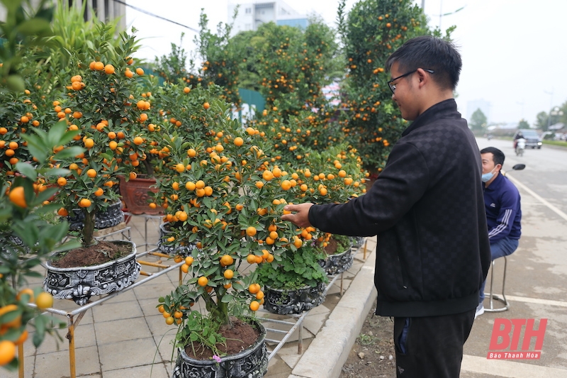 Hàng hóa đa dạng, sức mua vẫn còn “khiêm tốn”