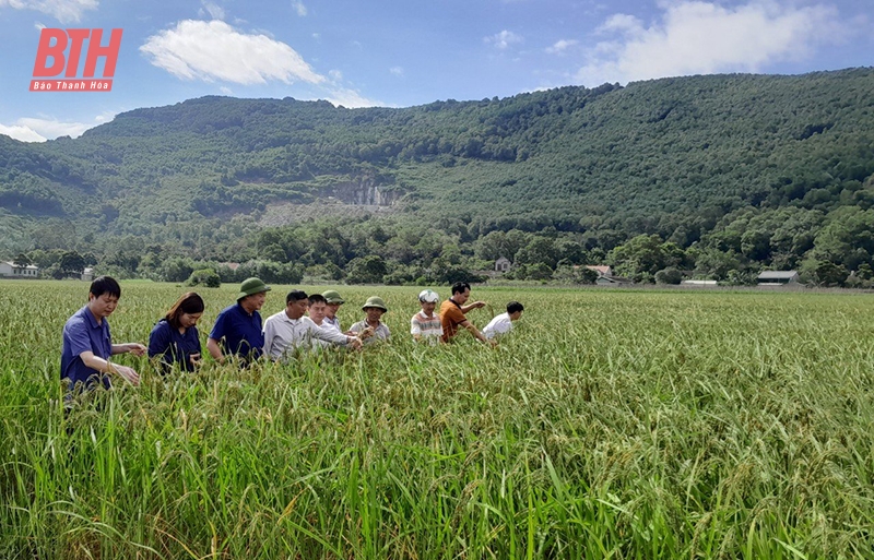 Trung tâm Khuyến nông Thanh Hóa: Tích cực chuyển giao khoa học kỹ thuật cho nông dân