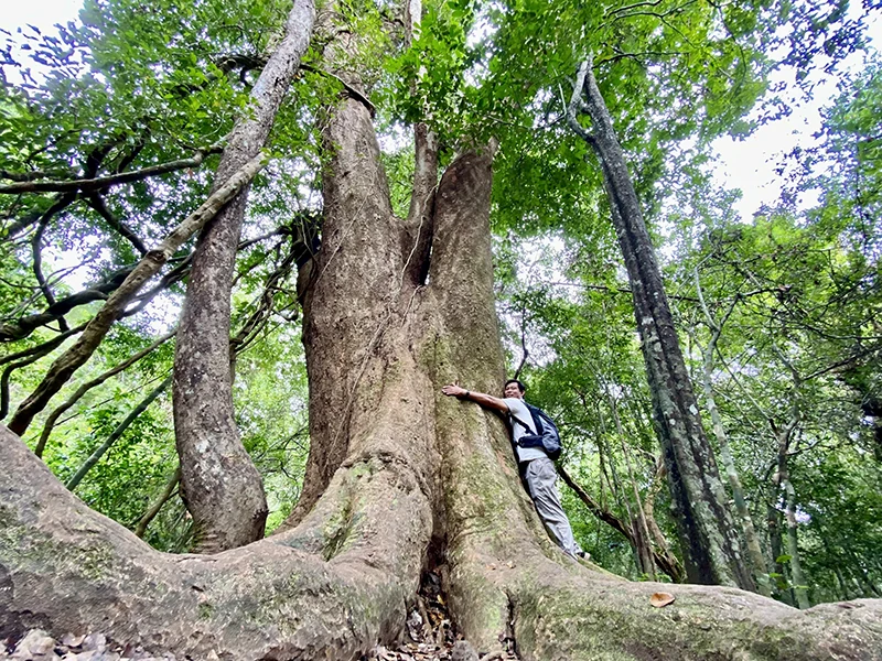 Thèm một xuân thơ mộng miền thượng du