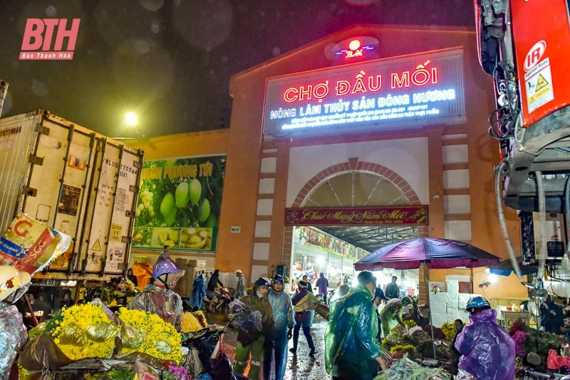 Mưu sinh ở chợ đầu mối lớn nhất xứ Thanh ngày cận Tết