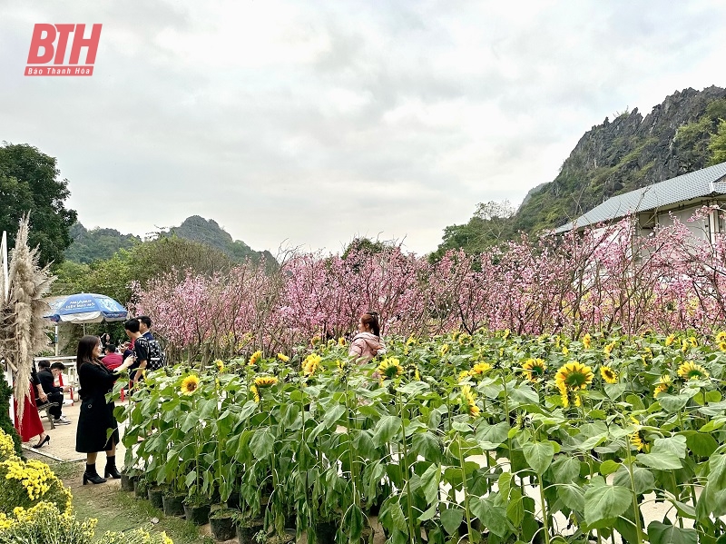 Các điểm vui chơi tại TP Thanh Hóa thu hút Nhân dân dịp đầu xuân