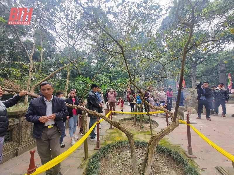 Khu di tích quốc gia đặc biệt Lam Kinh hút khách những ngày đầu xuân