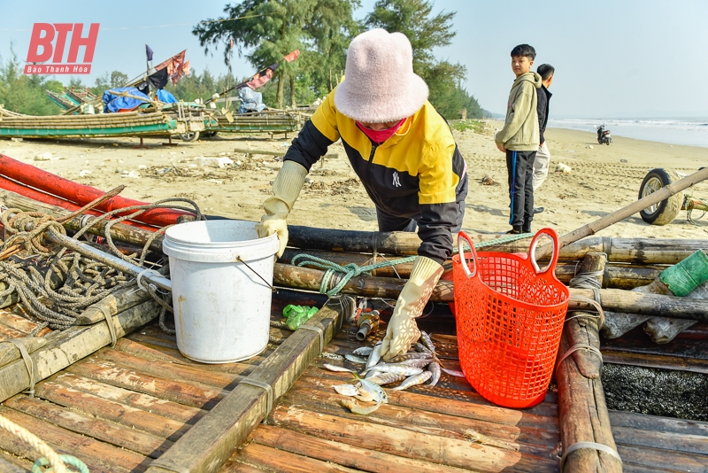 Ngư dân xứ Thanh “xông biển” đầu năm