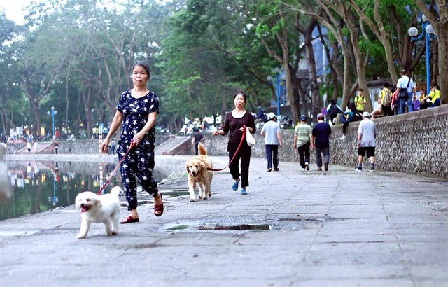 Tập trung thực hiện nghiêm công tác phòng, chống bệnh Dại