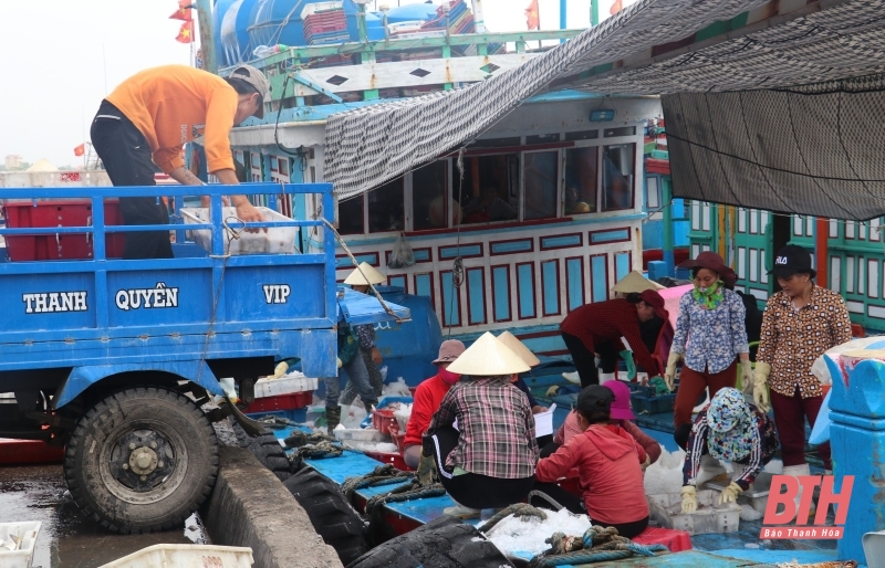 Vì mục tiêu gỡ “thẻ vàng” IUU (Bài 1): Thẻ vàng - cảnh báo... đỏ