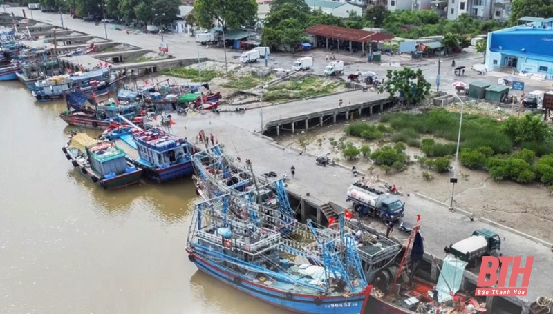 Vì mục tiêu gỡ “thẻ vàng” IUU (Bài 1): Thẻ vàng - cảnh báo... đỏ