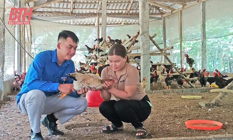 Chương trình Mục tiêu quốc gia phát triển kinh tế - xã hội vùng đồng bào Dân tộc thiểu số và miền núi: Những thanh niên, người có uy tín tiêu biểu trong phát triển kinh tế vùng đồng bào dân tộc thiểu số