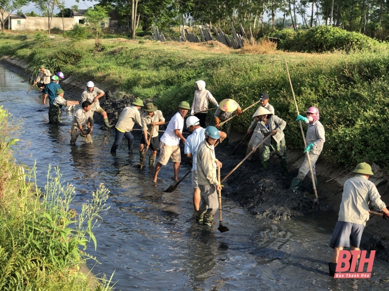 Hậu Lộc: Chủ động khắc phục tình trạng nhiễm mặn, đảm bảo đủ nguồn nước tưới cho sản xuất nông nghiệp