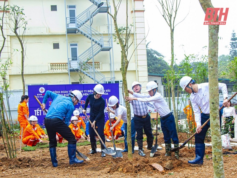 Công ty Điện lực Thanh Hóa phát động Tết trồng cây Xuân Giáp Thìn 2024