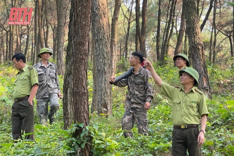 Ban Quản lý rừng phòng hộ Nghi Sơn chủ động bảo vệ rừng, phòng cháy, chữa cháy rừng trong mùa nắng nóng