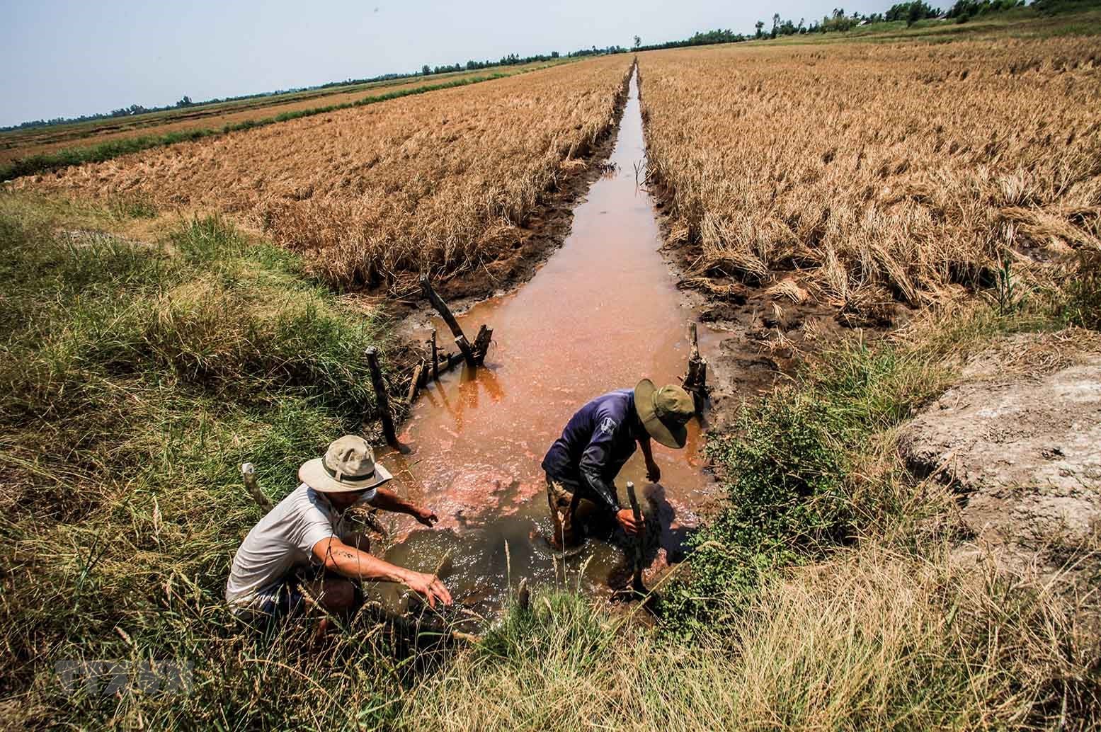 Thủ tướng chỉ thị tăng cường phòng, chống nắng nóng, hạn hán, thiếu nước, xâm nhập mặn