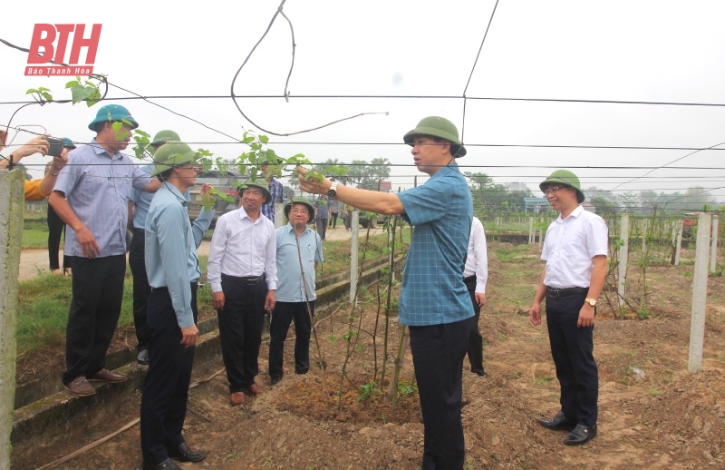 Phó Chủ tịch UBND tỉnh Lê Đức Giang kiểm tra tình hình xây dựng NTM và hoạt động khai thác khoáng sản tại Nông Cống