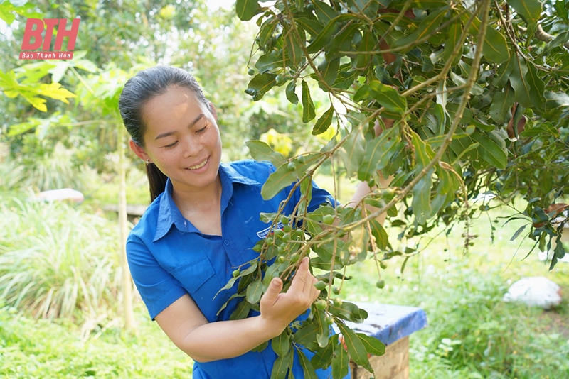 Khát vọng khởi nghiệp của thanh niên vùng dân tộc thiểu số và miền núi