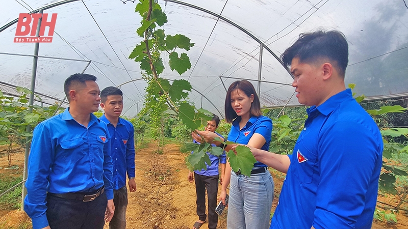 Khơi dậy tinh thần khởi nghiệp, tiềm năng sáng tạo trong đoàn viên, thanh niên