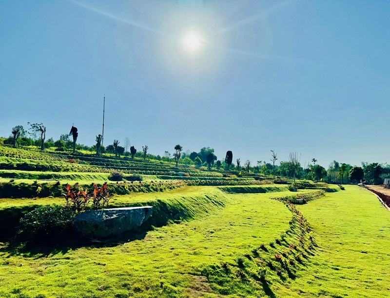 Vó ngựa tiên phong